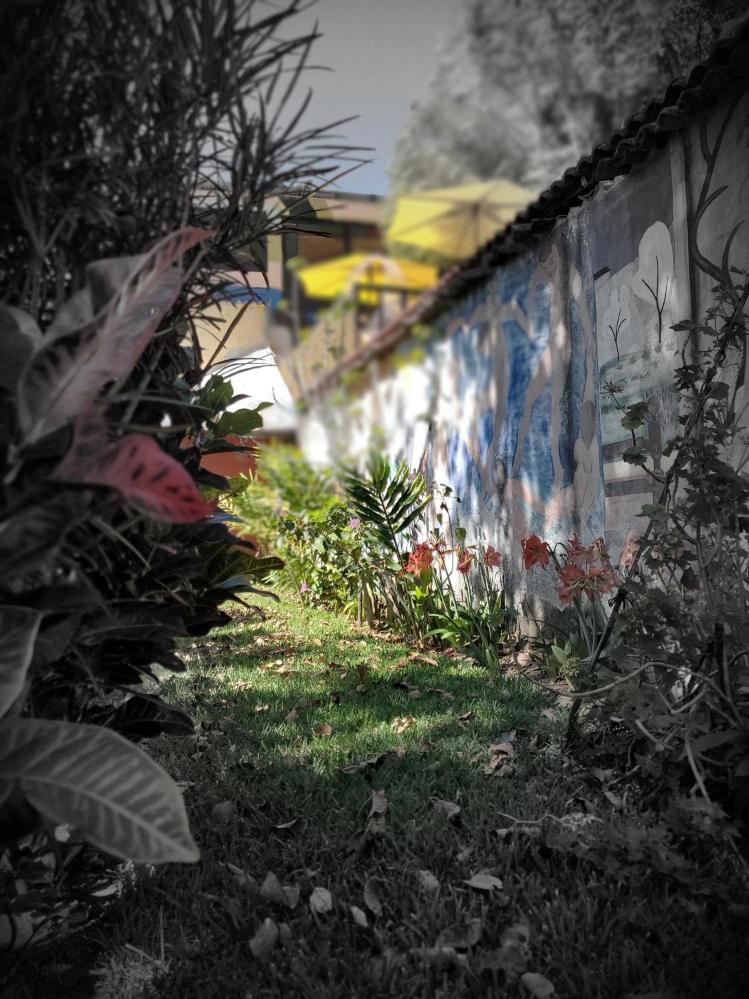 Art & Coffee Hotel Santa Cruz La Laguna Kültér fotó