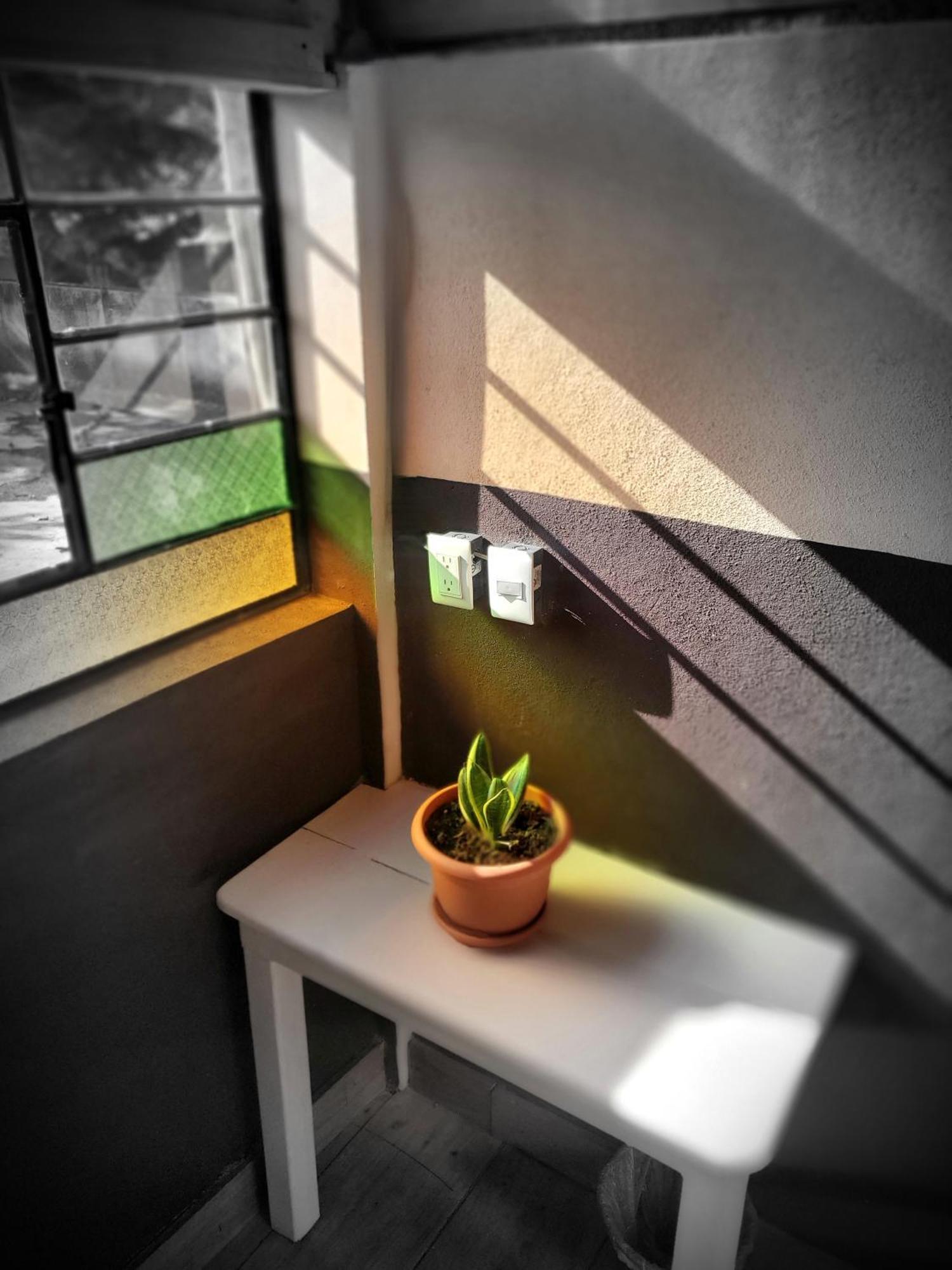 Art & Coffee Hotel Santa Cruz La Laguna Szoba fotó